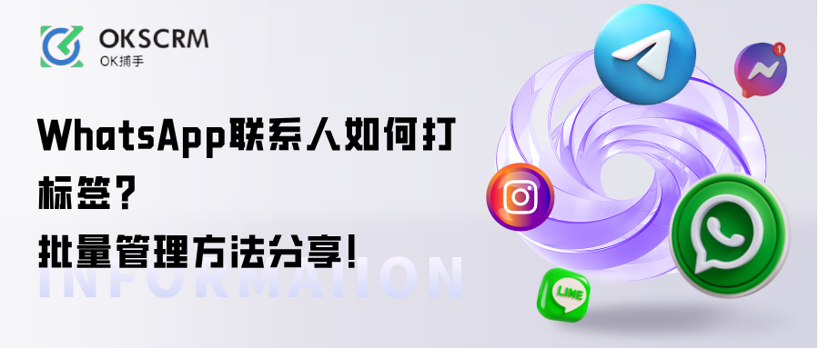 WhatsApp联系人如何打标签？批量管理方法分享