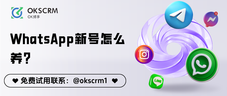 WhatsApp新号怎么养？AI智能养号7日全流程指南